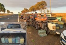 PM apreende mais de 300 quilos de maconha em rodovia de Penápolis