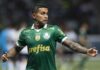 Dudu recebe elogios no Palmeiras e entra na briga por vaga de titular