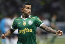 Dudu recebe elogios no Palmeiras e entra na briga por vaga de titular