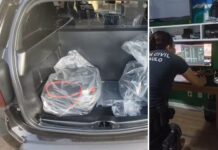 Polícia Civil faz operação contra grupo suspeito de vazamento de dados de milhões de brasileiros