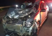 Animal na pista causa acidente na Rodovia Euclides da Cunha