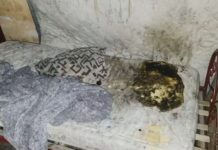 Homem é preso por atear fogo em morador dentro de casa em Araçatuba