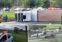 Tombamento de caminhão interdita trecho da Rodovia Euclides da Cunha