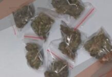 Gaeco faz operação contra membros de facção criminosa na região de Rio Preto