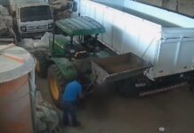 Homem é multado em R$ 6 mil por amarrar cão a trator e matar animal enforcado