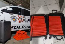 Mulher aciona a polícia após ter mala trocada por outra com 30 tijolos de maconha durante viagem de ônibus