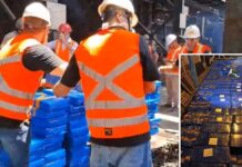 Polícia incinera 4,5 toneladas de maconha apreendidas em Birigui