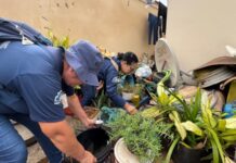 Dengue: Secretaria da Saúde de Votuporanga realiza passeata neste sábado