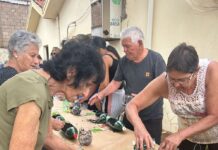 Agronomia da Unifev inicia projeto “Verde no Muro – Hortaliças no Cras”