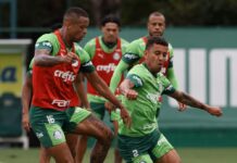 Palmeiras se reapresenta e terá dois retornos para última rodada do Brasileirão