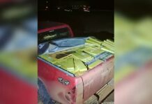 Polícia Rodoviária apreende 1 tonelada de maconha em caminhonete