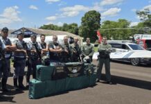 Polícia Federal intercepta avião com 435 kg de cocaína em Penápolis