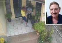 Idoso morre três dias após ser esfaqueado por vizinho em surto psicótico e ter intestino perfurado