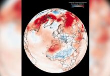 2024 é o ano mais quente já visto na Terra, afirma observatório europeu