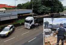 Polícia Rodoviária apreende 350 mil maços de cigarros e 1 mil quilos de agrotóxicos contrabandeados