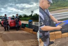 Primos são presos com 300 tijolos de maconha em Pindorama