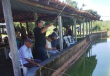 Centro Dia do Idoso realiza eventos especiais para marcar o encerramento de 2024