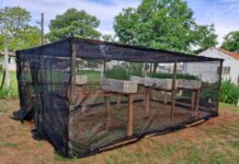 Agronomia da Unifev constrói horta suspensa no Lar São Vicente de Paulo