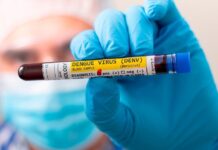 Dengue: Votuporanga pede vacina, mas Ministério da Saúde nega