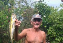 Motorista atropela, mata e foge em vicinal de Votuporanga