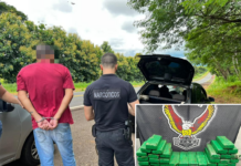 DISE de Jales intercepta 67 tijolos de maconha