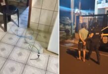 Homem é preso suspeito de agredir a companheira, trancar ela no banheiro e eletrizar a maçaneta da porta