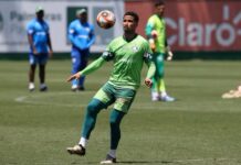 Palmeiras terá mudanças para o clássico contra o Santos