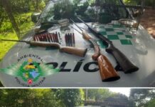 Polícia Ambiental apreende armas e aves em Álvares Florence
