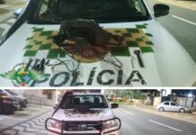 Homem é preso por furtar fiação de loja em Votuporanga