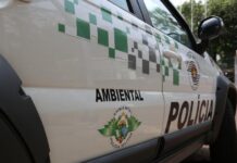 Polícia Ambiental prende casal procurado pela Justiça em Ilha Solteira