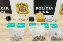 Operação prende suspeito de tráfico de maconha gourmet em Ouroeste