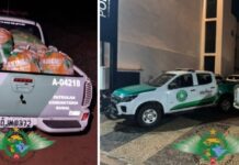 Dois homens são presos após furtar laranja em propriedade rural