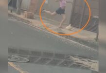 Mulher é multada em R$ 3 mil por maus-tratos a cachorro em Rio Preto