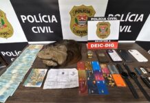 Polícia prende mulher suspeita de usar perucas para se passar por vítimas e abrir contas no banco