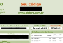 Veja como prevenir ataques de animais a agentes de faturamento de energia elétrica