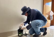 Prefeitura inicia instalação de armadilhas para mosquitos da dengue na zona norte