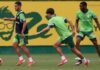 Palmeiras se reapresenta, e Abel prepara mudanças para buscar vaga