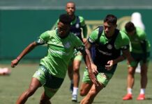 Abel prepara mudanças para o mata-mata do Paulistão