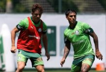 Abel faz mudanças para jogo decisivo por vaga no mata-mata do Paulistão