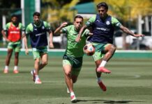 Palmeiras se reapresenta e prepara mudanças por classificação ao mata-mata
