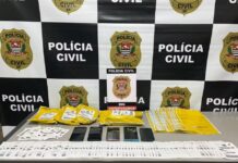 Dupla é presa suspeita de se passar por entregadores de mercadorias e aplicar golpes em idosos