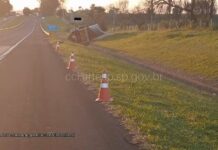 Motorista morre ao ser atropelado por caminhão em rodovia após parar para ajudar ciclista caído no acostamento