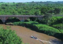 Polícia Ambiental divulga balanço das Operações “Impacto/Piracema”