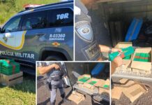 Polícia apreende mais de 30 kg de maconha com adolescente dentro de ônibus em Rio Preto