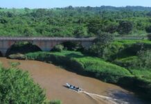 Fim da piracema marca retomada da pesca e movimenta economia em cidades ribeirinhas