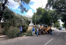 Após chuva e vendaval, Prefeitura realiza trabalho de limpeza