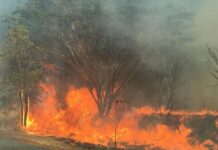 Região entra no mapa de emergência climática do Ministério do Meio Ambiente