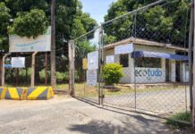 Ecotudo Sul chega ao seu 48º dia fechado