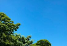 Prefeitura de Votuporanga abre novas vagas de estacionamento