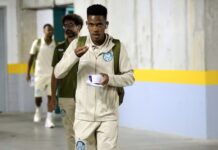 Palmeiras aguarda convocados para ter grupo completo antes de final